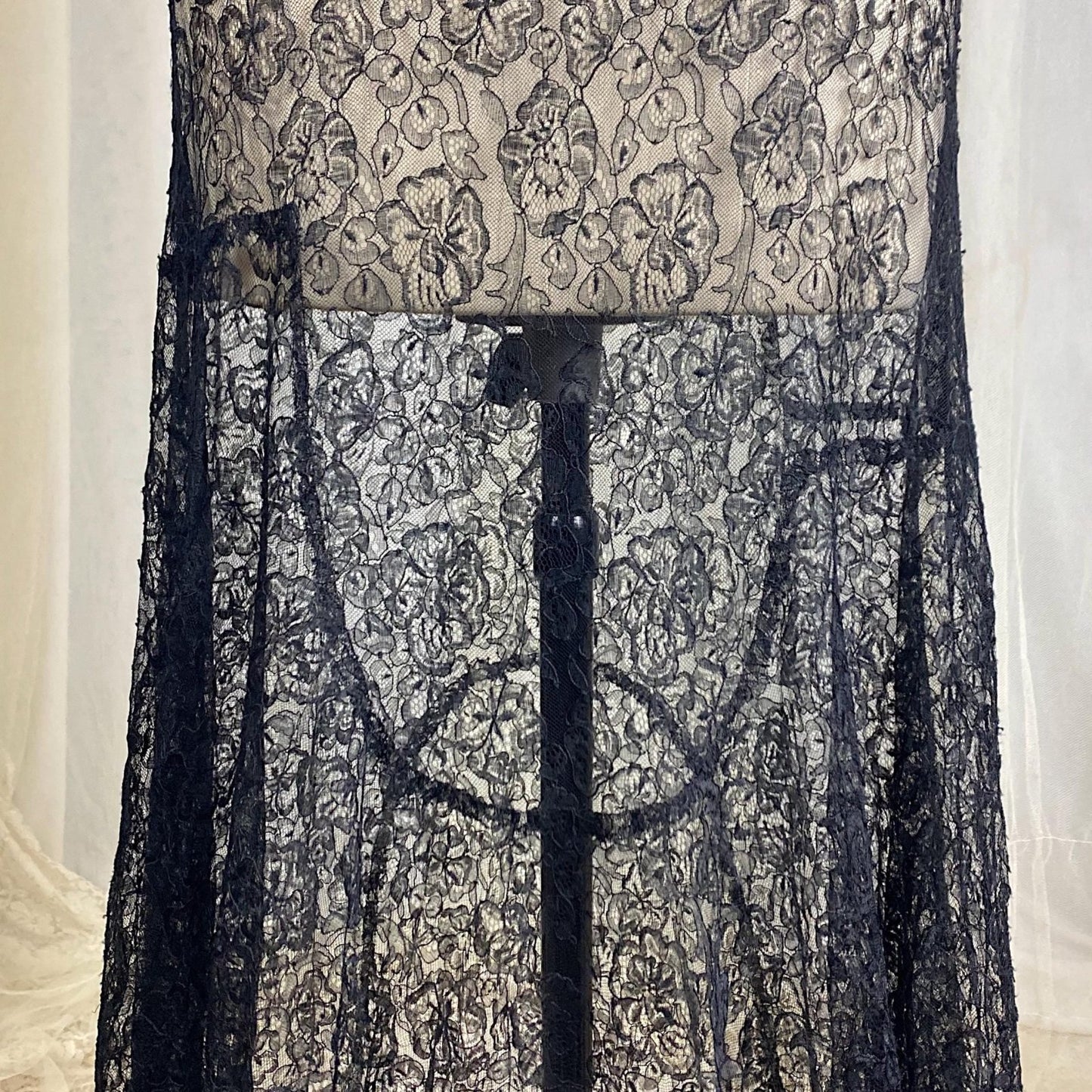 Vintage 1930's Evening Gown - Sheer Black Chantilly Lace with Bertha Collar & Train - Size M - Daggers & Dames