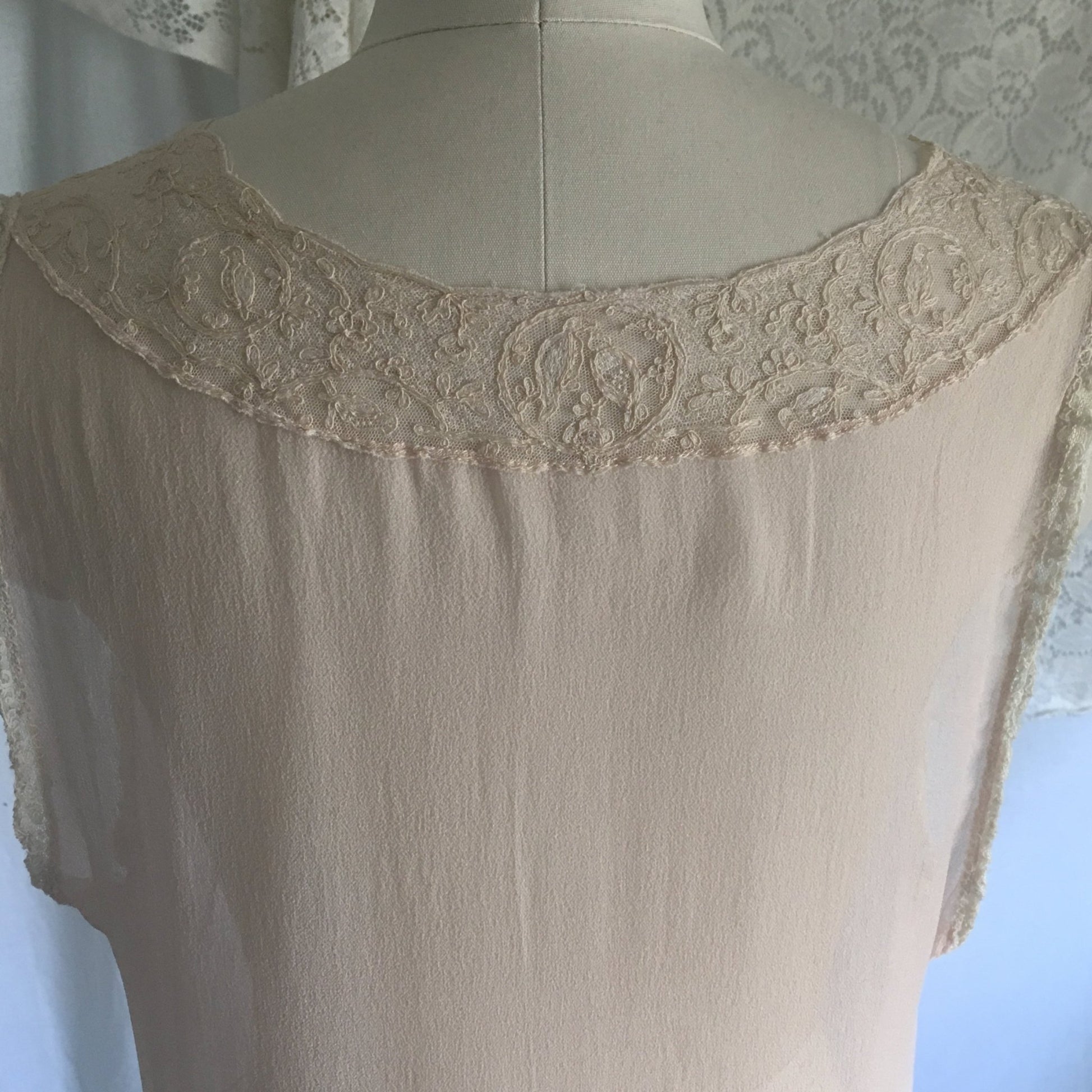 Vintage 1920's Nightgown | Sheer Powder Pink Silk Chiffon with Tambour Embroidery | Size M, LG - Daggers & Dames