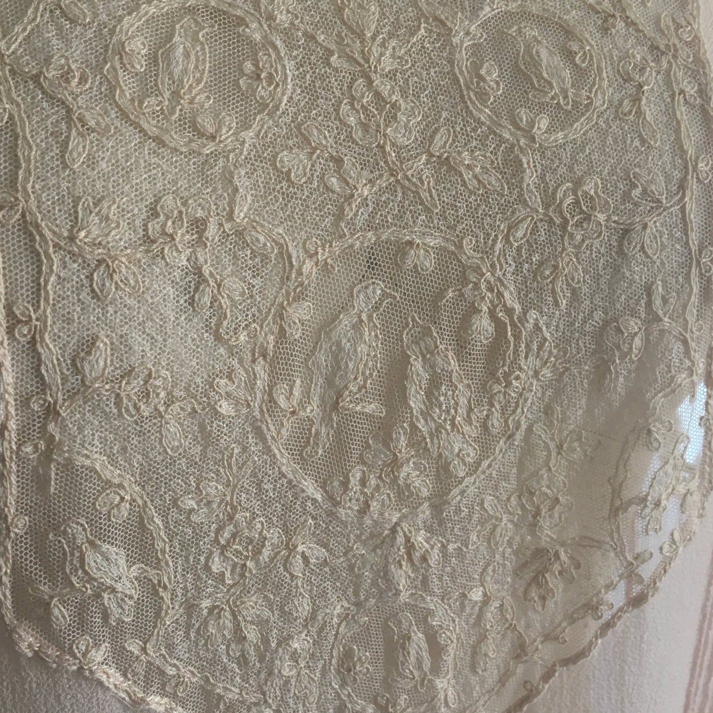 Vintage 1920's Nightgown | Sheer Powder Pink Silk Chiffon with Tambour Embroidery | Size M, LG - Daggers & Dames