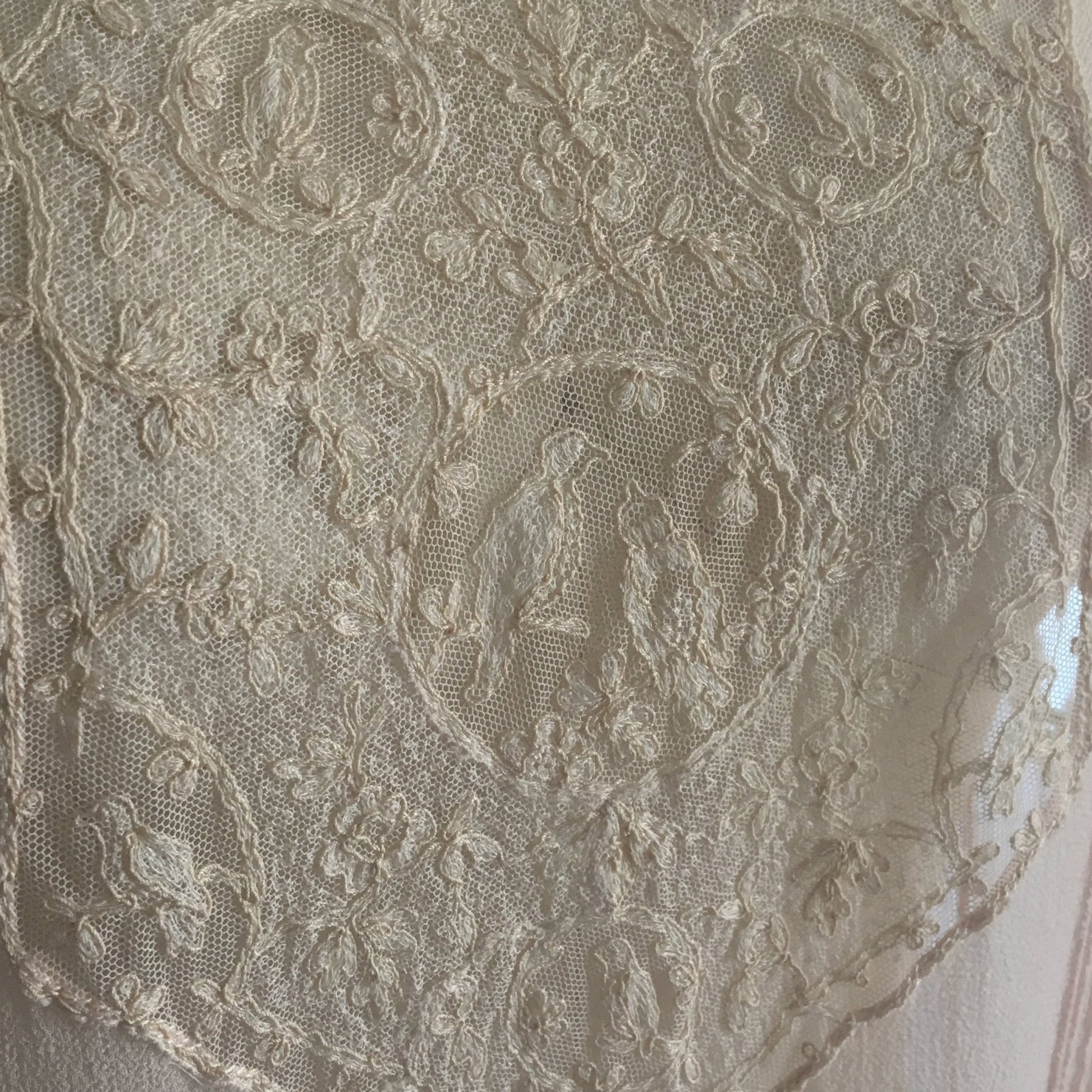 Vintage 1920's Nightgown | Sheer Powder Pink Silk Chiffon with Tambour Embroidery | Size M, LG - Daggers & Dames