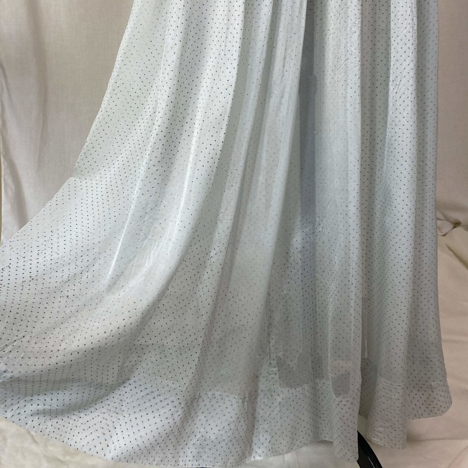 Vintage 1930's Maxi Dress | Sheer Dusty Blue Silk Organza with Gold Swiss Dots | Size M - Daggers & Dames