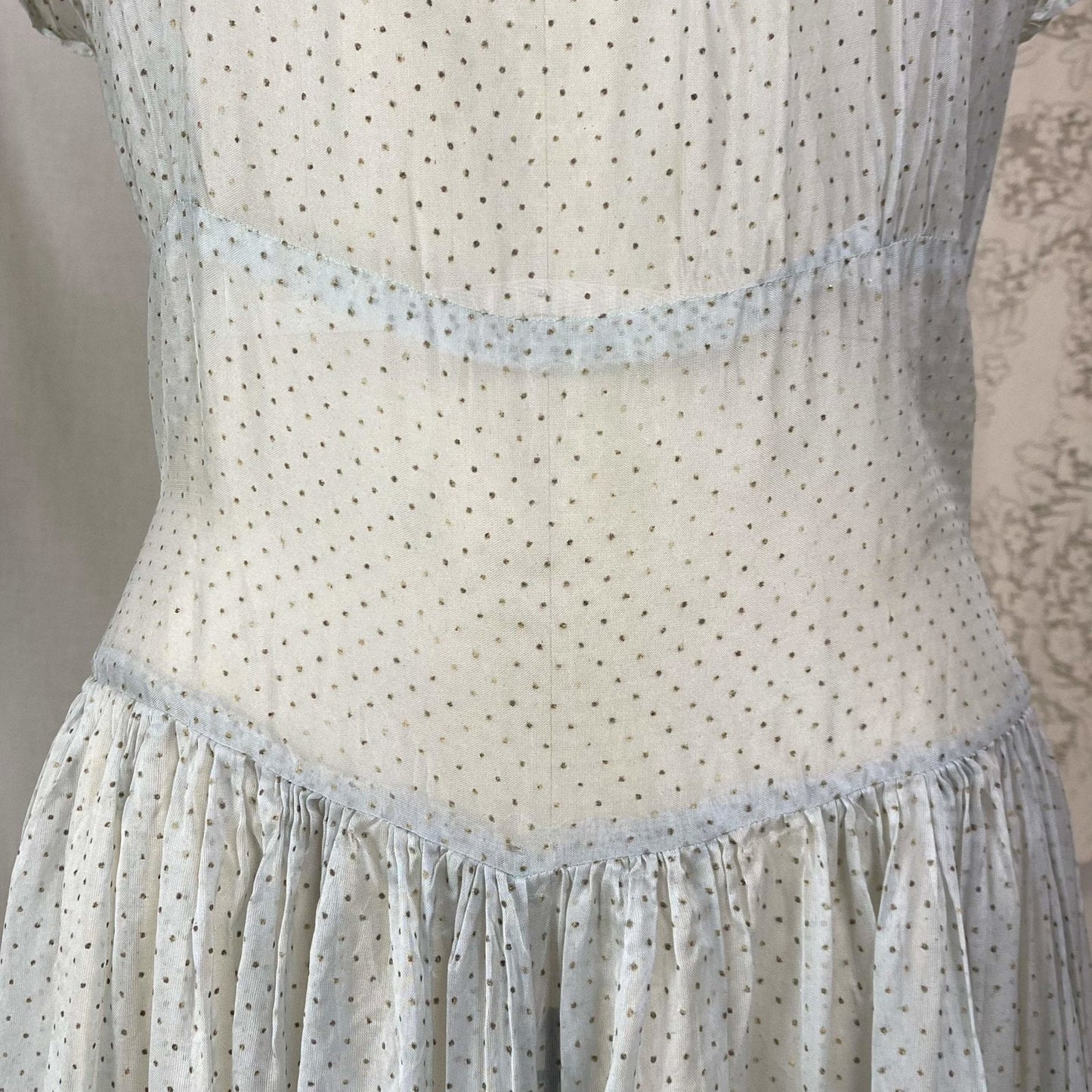 Vintage 1930's Maxi Dress | Sheer Dusty Blue Silk Organza with Gold Swiss Dots | Size M - Daggers & Dames