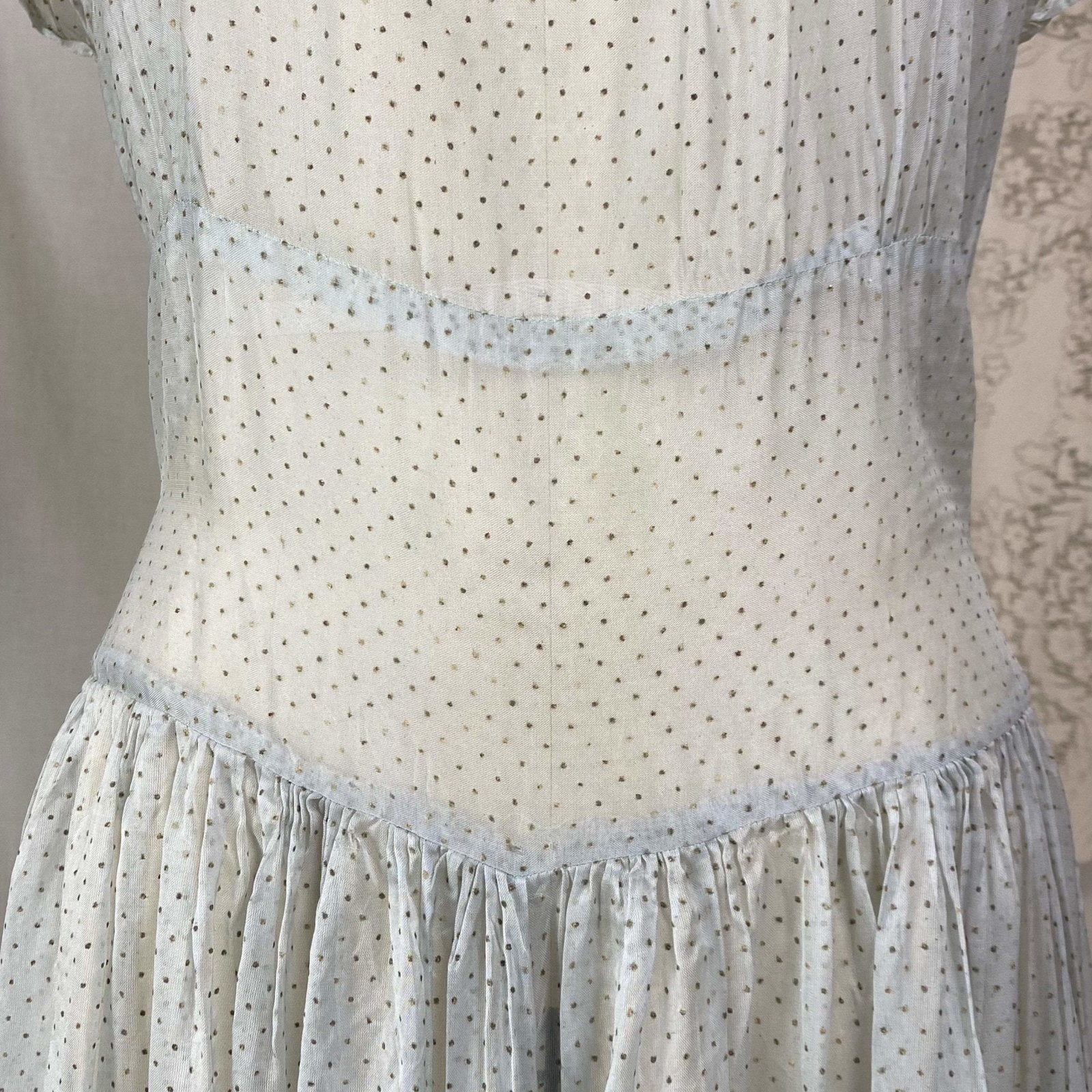 Vintage 1930's Maxi Dress | Sheer Dusty Blue Silk Organza with Gold Swiss Dots | Size M - Daggers & Dames