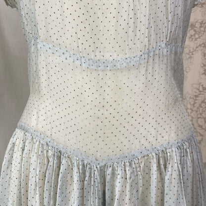 Vintage 1930's Maxi Dress | Sheer Dusty Blue Silk Organza with Gold Swiss Dots | Size M - Daggers & Dames