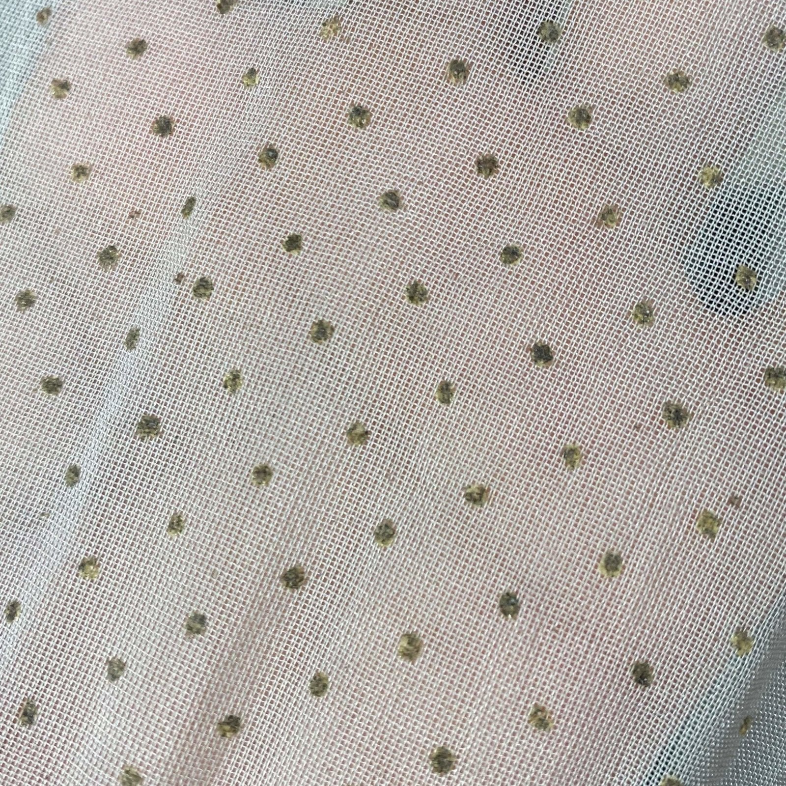 Vintage 1930's Maxi Dress | Sheer Dusty Blue Silk Organza with Gold Swiss Dots | Size M - Daggers & Dames