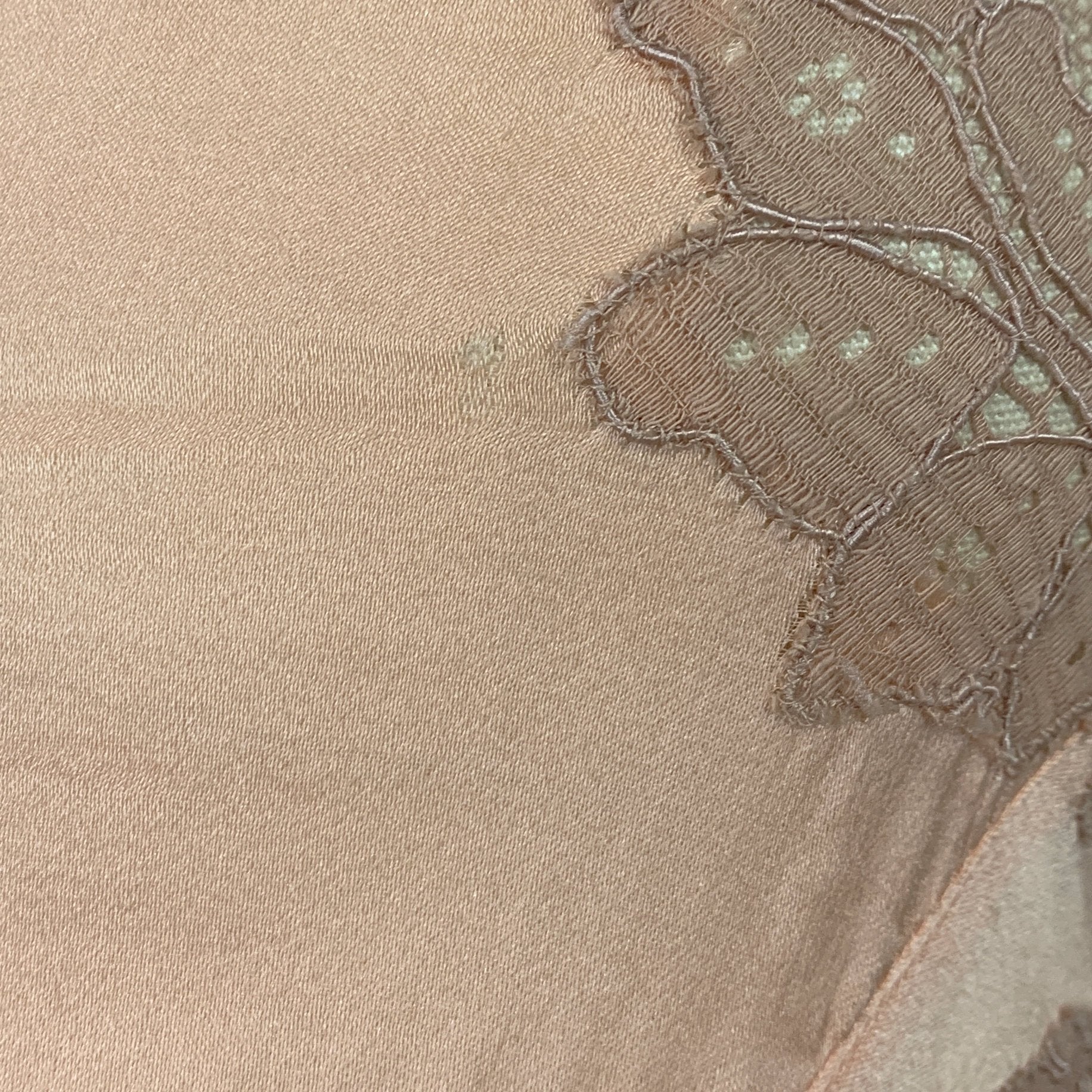Vintage 1930's Teddy | Bold Apricot Silk with Taupe Floral Lace Appliqué | Size XS | Never Worn - Daggers & Dames